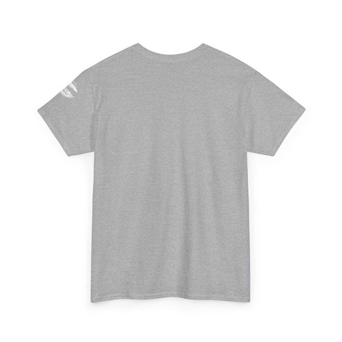 Defund AARO UFO T-Shirt – Bold Statement on UAP Disclosure and Government Secrecy | Unisex Heavy Cotton Tee