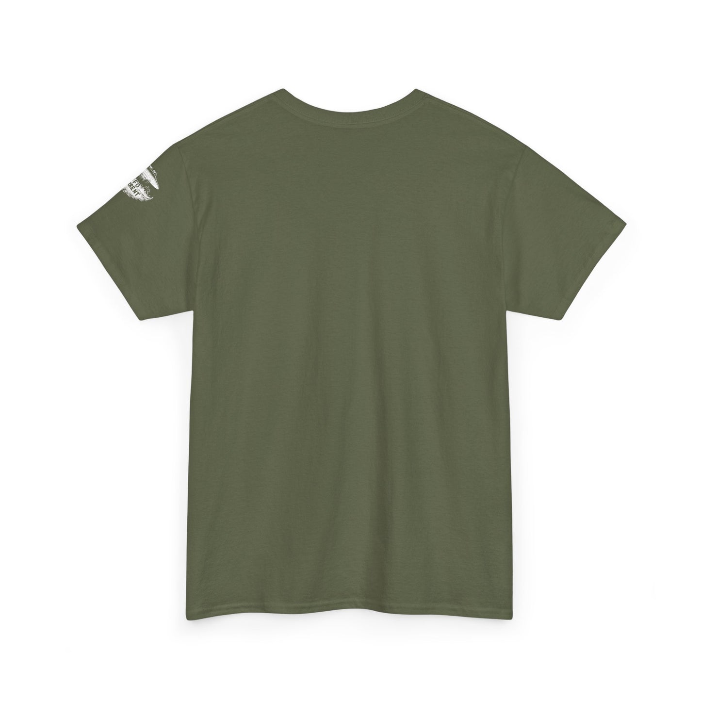 Defund AARO UFO T-Shirt – Bold Statement on UAP Disclosure and Government Secrecy | Unisex Heavy Cotton Tee