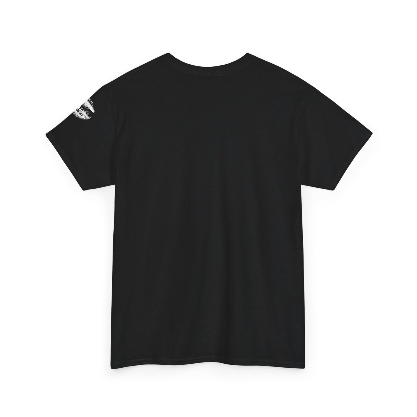 Defund AARO UFO T-Shirt – Bold Statement on UAP Disclosure and Government Secrecy | Unisex Heavy Cotton Tee